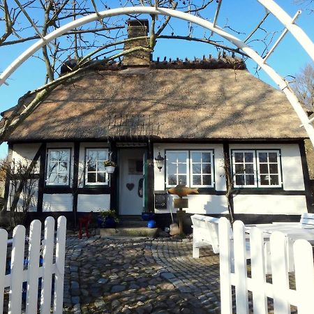 Ferienhaus Rikate Kappeln Exterior photo